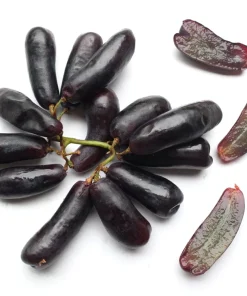 Black Finger Grape Vine Seeds - Vitis Vinifera Fruit - 5 Count - Image 9