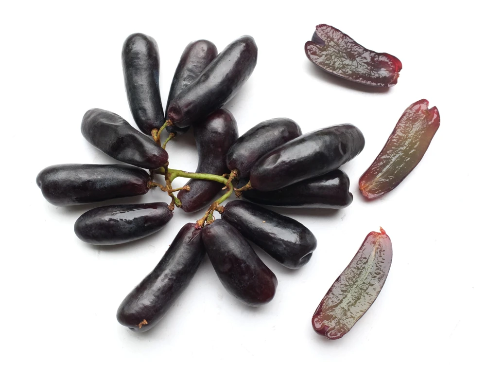 Black Finger Grape Vine Seeds - Vitis Vinifera Fruit - 5 Count - Image 9