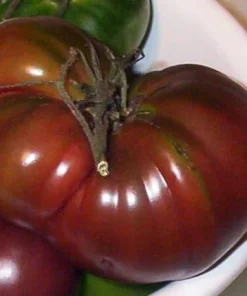 Black Russian Tomato Seeds - Heirloom, Indeterminate, 30 Count - Image 1