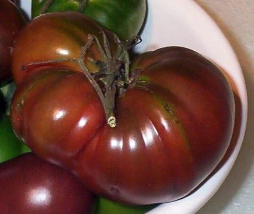 Black Russian Tomato Seeds - Heirloom, Indeterminate, 30 Count - Image 1