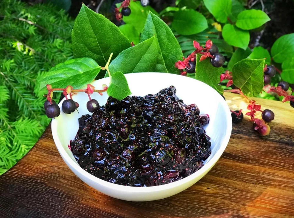 Black Salal Berry Live Plant - 4" Pot - Evergreen Shrub - Edible Fruit - Outdoor - Image 5