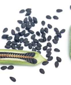 Black Sesame Seeds - Sesamum Indicum Vegetable Flower - 1500 Seeds - Image 6