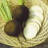 Black Spanish Radish Seeds – Nero Tondo – 200 Seed Pack – Garden Vegetables - Image 1