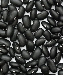Black Turtle Bean Seeds - Heirloom Bush Type, 25 Seeds, Vigorous - Image 2