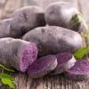Blue Adirondack Seed Potatoes - USDA Certified for Planting Purple Potatoes 500g - Image 1