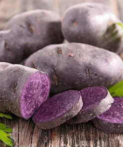 Blue Adirondack Seed Potatoes - USDA Certified for Planting Purple Potatoes 500g - Image 1