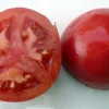 Bradley Tomato Seeds - 20 Count, Dark Pink, Determinate, Fusarium Resistant - Image 1