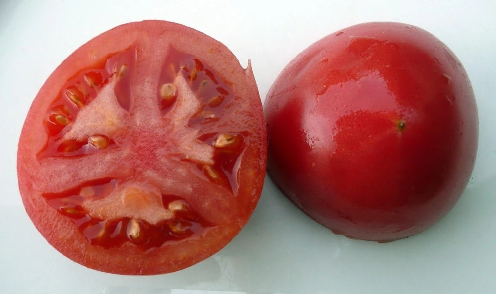 Bradley Tomato Seeds - 20 Count, Dark Pink, Determinate, Fusarium Resistant - Image 1