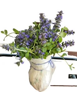 Bugleweed Ajuga Perennial Ground Cover - 10 Bare Root Live Plants - Image 4