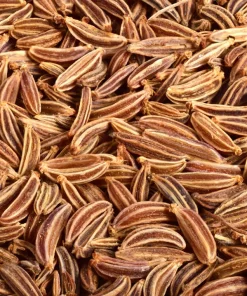 Caraway Seeds – 400 Count – Carum Carvi Herb Flower Seeds for Culinary & Garden - Image 8