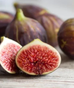 Celeste Fig Tree Live Plant – Honey Sugar Fig Seedling – 6-12 inches Tall – Ficus carica – Outdoor Fruit Tree - Image 6