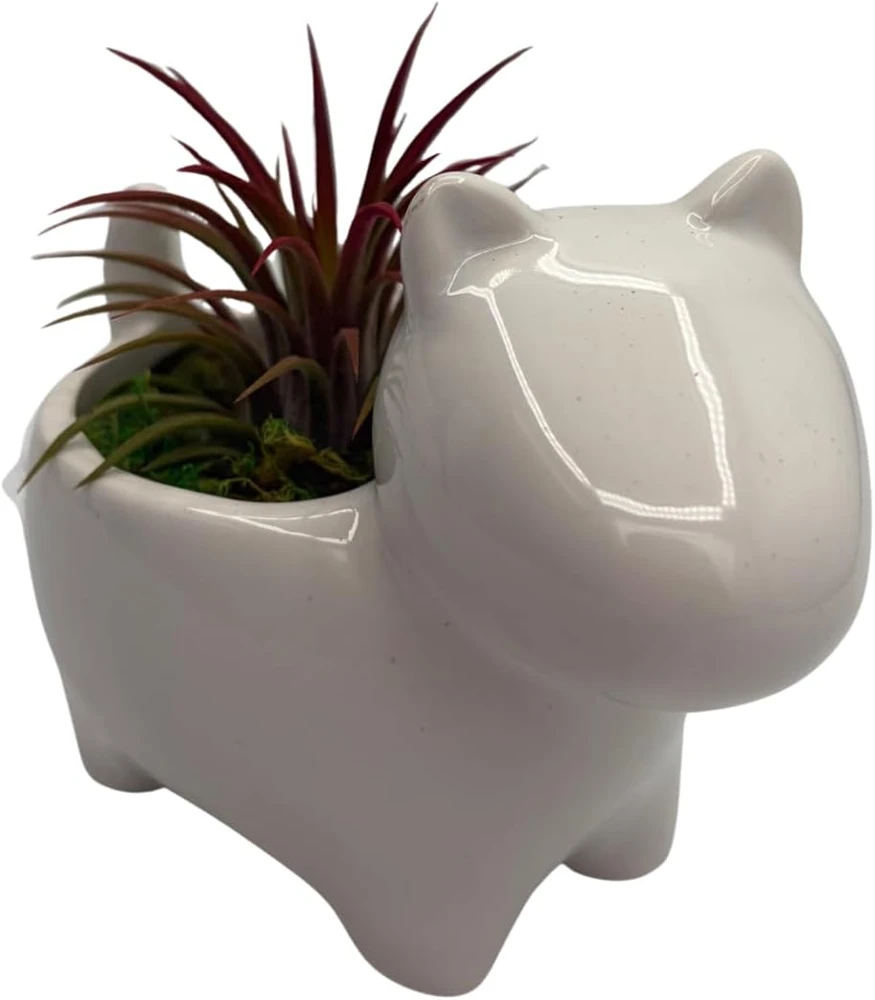 Ceramic Dog Planter with Live Air Plant Tillandsia, 2.5" Pot, Indoor Decor - Image 1