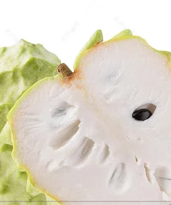 Cherimoya Live Plant - 1 Year Seedling, Custard Apple, Annona cherimola, 3 inch pot - Image 4