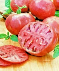 Cherokee Purple Tomato Seeds - Heirloom Vegetable Seeds for Planting - Image 2