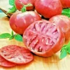 Cherokee Purple Tomato Seeds - Heirloom Vegetable Seeds for Planting - Image 1