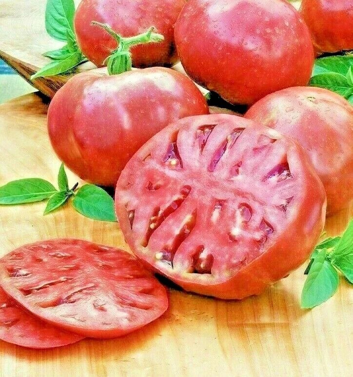 Cherokee Purple Tomato Seeds - Heirloom Vegetable Seeds for Planting - Image 1