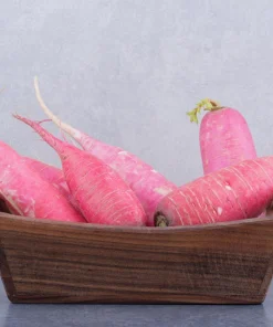 China Rose Radish Seeds - 100 Count Vegetable Seeds for Winter Harvest - Image 8