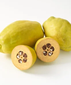 Chinese Quince Tree Seeds - 20 Seeds, Edible Fruit, Pink Flowers - Image 1