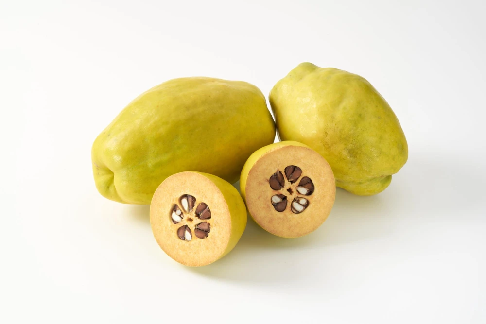 Chinese Quince Tree Seeds - 20 Seeds, Edible Fruit, Pink Flowers - Image 1