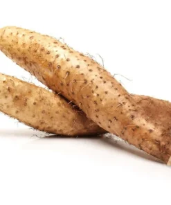 Chinese Yam Cinnamon Vine (Dioscorea Opposita) Live Plants - 3 Pack, Climbing - Image 9