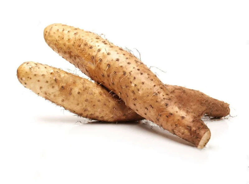 Chinese Yam Cinnamon Vine (Dioscorea Opposita) Live Plants - 3 Pack, Climbing - Image 9