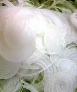 Cipollini Bianca Di Maggio Onion Seeds - 250 Sweet Flat Onions - Image 3