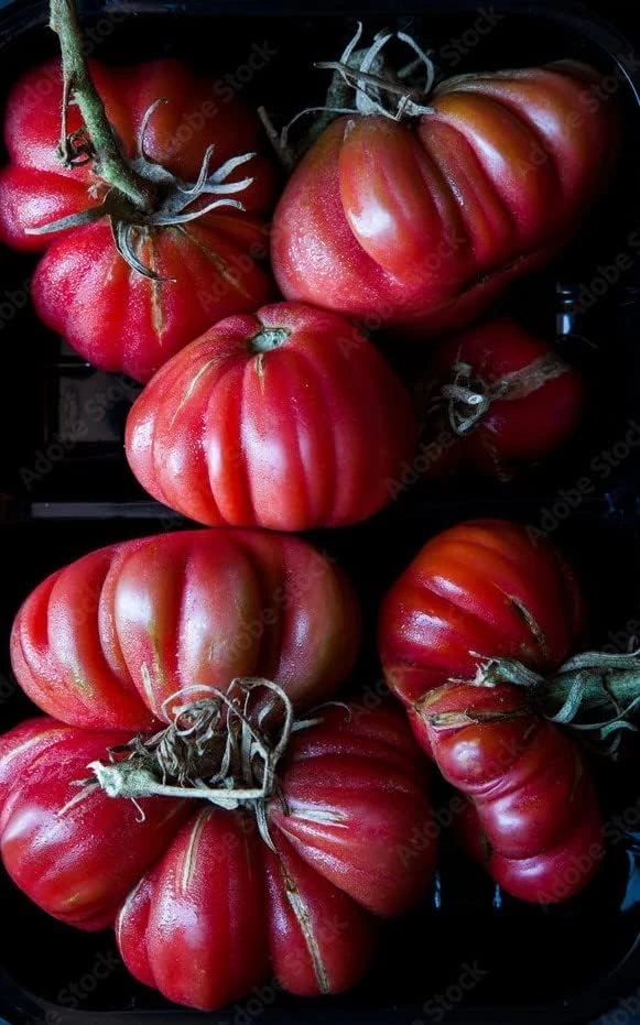 Coustralee Beefsteak Tomato Seeds - French Heirloom - Large Red Fruits - 20 Seeds - Image 1