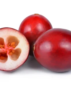 Cranberry Seeds - 100 American Vaccinium Macrocarpon Red Fruit Bush Perennial - Image 10