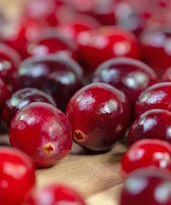 Cranberry Seeds - 100 American Vaccinium Macrocarpon Red Fruit Bush Perennial - Image 2