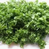 Cress Herb Seeds - 500 Seeds, 2 Grams - Fresh Homegrown Culinary Herb - Image 1