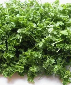 Cress Herb Seeds - 500 Seeds, 2 Grams - Fresh Homegrown Culinary Herb - Image 1