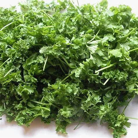 Cress Herb Seeds - 500 Seeds, 2 Grams - Fresh Homegrown Culinary Herb - Image 1