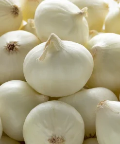 Crystal White Pearl Onion Vegetable Seeds - Allium Cepa - 500 Seeds - Image 5