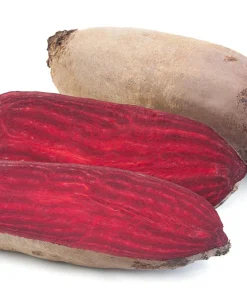 Cylindra Beet Seeds – 250 Dark Red Beta Vulgaris Vegetable Seeds – 60 Days Harvest - Image 7