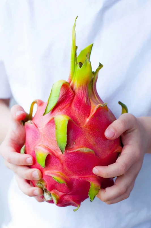 Dragon Fruit (Pitahaya) Plant Cuttings & Seeds - US Grown - Image 1