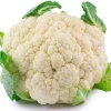 Early Snowball Cauliflower Live Plant - 4 inch Pot - High Yield Vegetable - Image 1