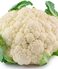 Early Snowball Cauliflower Live Plant - 4 inch Pot - High Yield Vegetable - Image 1