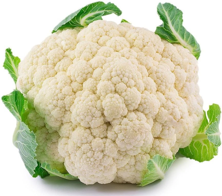 Early Snowball Cauliflower Live Plant - 4 inch Pot - High Yield Vegetable - Image 1