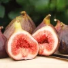 Edible Fig Tree Seeds – Ficus Carica – 30 Seeds – Purple Brown Fruit - Image 1