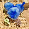 Elephant Garlic Bulbs - 1 Large Fresh Bulb - Edible Allium for Planting - Image 1