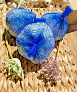 Elephant Garlic Bulbs - 1 Large Fresh Bulb - Edible Allium for Planting - Image 1