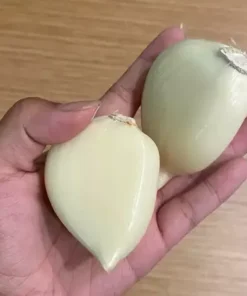 Elephant Garlic Corms - Fresh Harvest USA Grown - Healthy Bulbs for Planting - Image 2