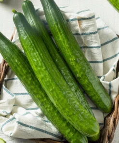 English Cucumber Seeds - 30 Count - Burpless, Sweet, Greenhouse Ready - Image 4