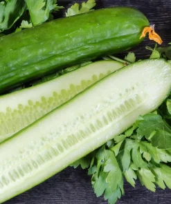 English Cucumber Seeds - 30 Count - Burpless, Sweet, Greenhouse Ready - Image 5
