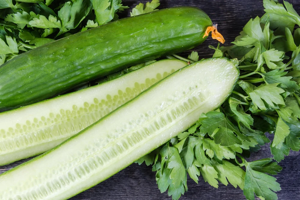 English Cucumber Seeds - 30 Count - Burpless, Sweet, Greenhouse Ready - Image 5