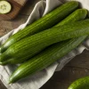 English Cucumber Seeds - 30 Count - Burpless, Sweet, Greenhouse Ready - Image 1