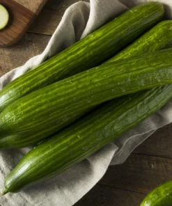 English Cucumber Seeds - 30 Count - Burpless, Sweet, Greenhouse Ready - Image 1