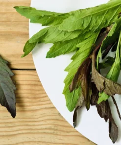 Epazote Seeds - 300 Count Mexican Tea Herb Flower Seeds - Chenopodium Ambrosioides - Image 1