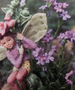 Fairy Foxy Foxglove Erinus Alpinus Live Plant - 2.5