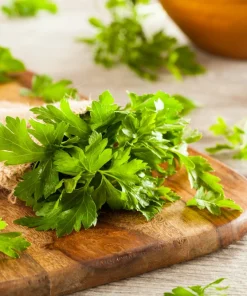 Flat Leaf Parsley Seeds - 1500 Count, Italian Plain Parsley, Biennial - Image 8